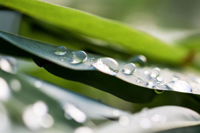 Makrofotografie Wassertropfen © Copyright UK Photographie