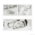 Zu sehen sind Baby Collagen© Copyright UK Photographie