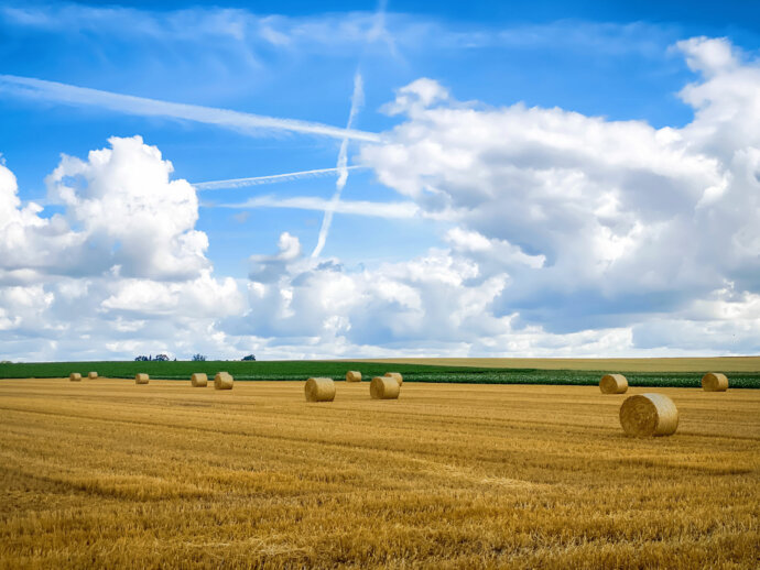 Farbintensives Motiv © Copyright UK Photographie